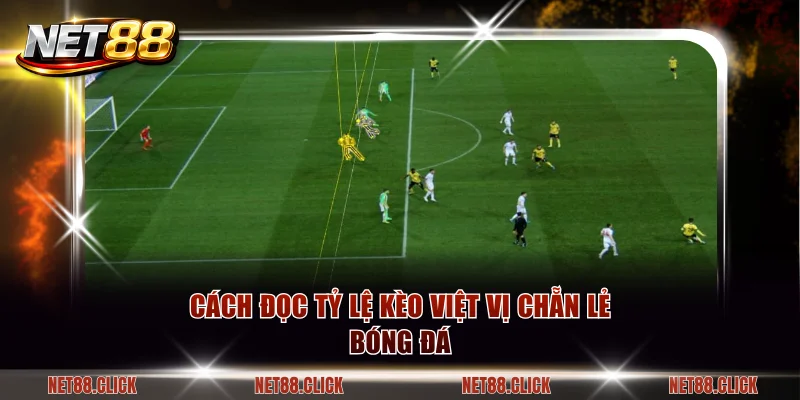 Cách đọc tỷ lệ kèo việt vị Chẵn Lẻ bóng đá