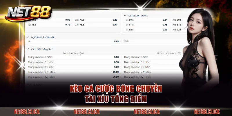 Kèo cá cược bóng chuyền tài xỉu tổng điểm
